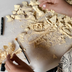 WOOPIE Creative Toy Dinosaur Skeleton Archaeological Excavation