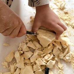 WOOPIE Creative Toy Dinosaur Skeleton Archaeological Excavation