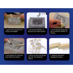 WOOPIE Creative Toy Dinosaur Skeleton Archaeological Excavation