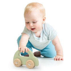 VIGA PolarB Wooden Push Car Green