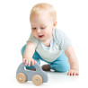 VIGA PolarB Wooden Push Car Blue