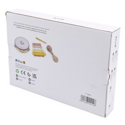 VIGA PolarB Musical Instrument Set Pink