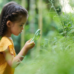 CLASSIC WORLD 2-in-1 Microscope Magnifier for Children Exploring the Natural World