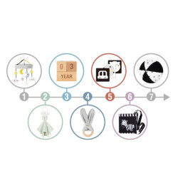 WOOPIE GREEN Box XXL Montessori Educational 7in1 Sensory Box 0-2 Months 18 pcs FSC