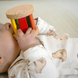 WOOPIE GREEN XXL Montessori Sensory and Education Box 6 in 1 FSC