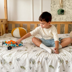 WOOPIE Plane STEM Building Kit